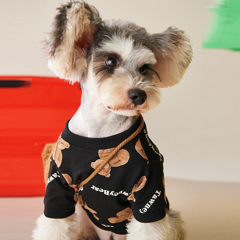 Cute Bear Hoody Winter Pet Dog Ρούχα Παχύ πουλόβερ σκύλου για μικρά σκυλιά Αποστολή τσάντας Ropa Perro Yorkshire Dog Coat Jacket Clothen