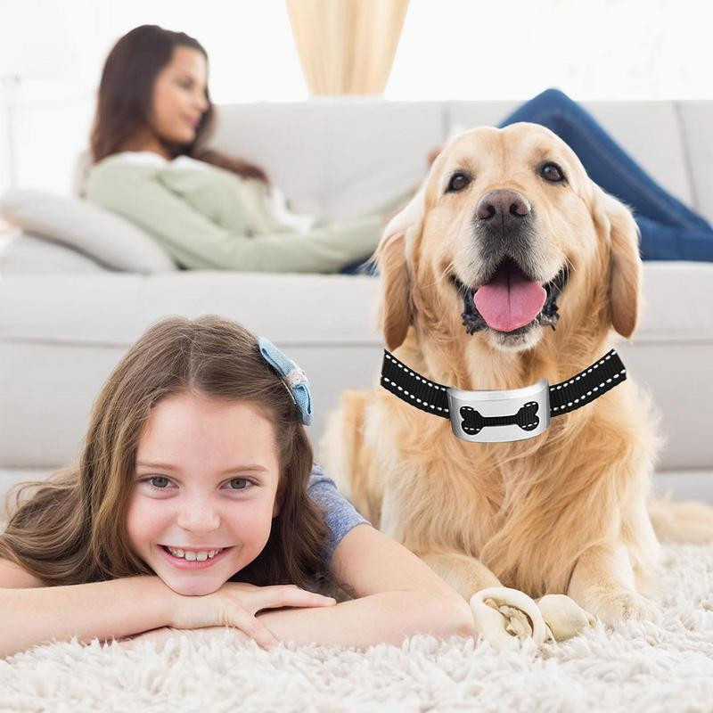 Lemmikkoera laetav haukumisvastane kaelarihma juhtrongi veekindel Stop Barking Dog veekindlad ultraheli treeningkaelarihmad