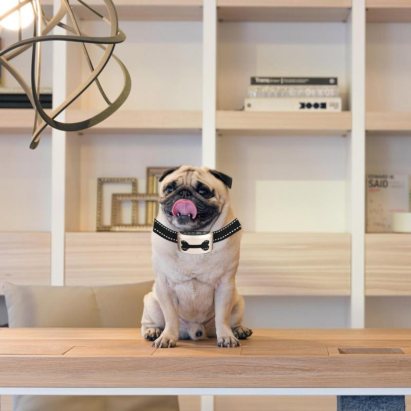 Lemmikkoera laetav haukumisvastane kaelarihma juhtrongi veekindel Stop Barking Dog veekindlad ultraheli treeningkaelarihmad