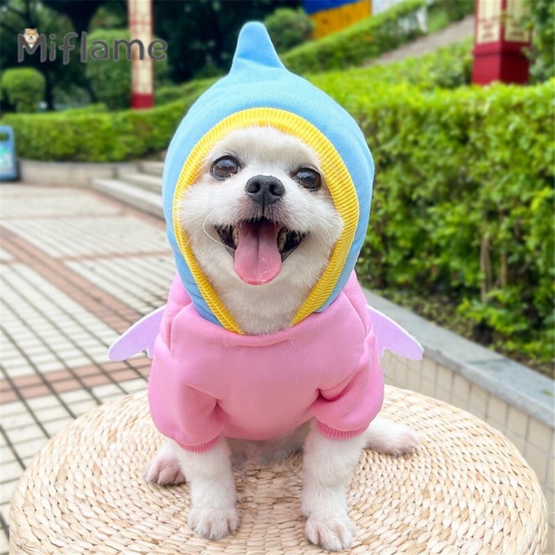 Miflame φτερά από μπιμπερό που μεταμορφώνουν ρούχα για γάτες σκύλους Ζεστές προμήθειες για κατοικίδια Pomeranian Γαλλικό μπουλντόγκ Χαριτωμένο κουκούλα μεσαίου σκύλου