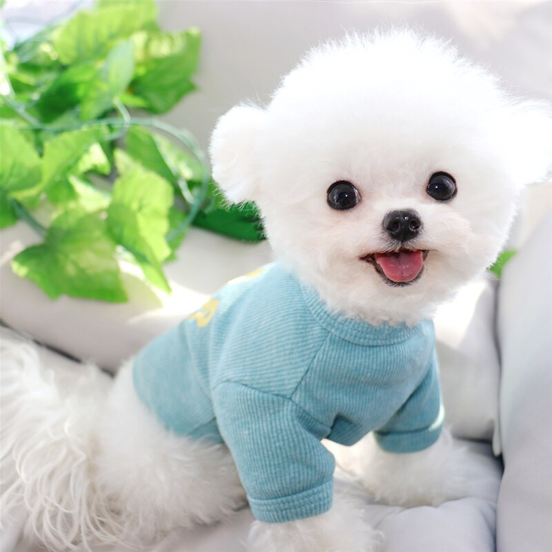 Gyvūno Jorkšyro megztinis Teddy Animacinių filmų vasaros suknelė Bichon Pomeranian Kvėpuojantys drabužiai Katės naminis megztinis