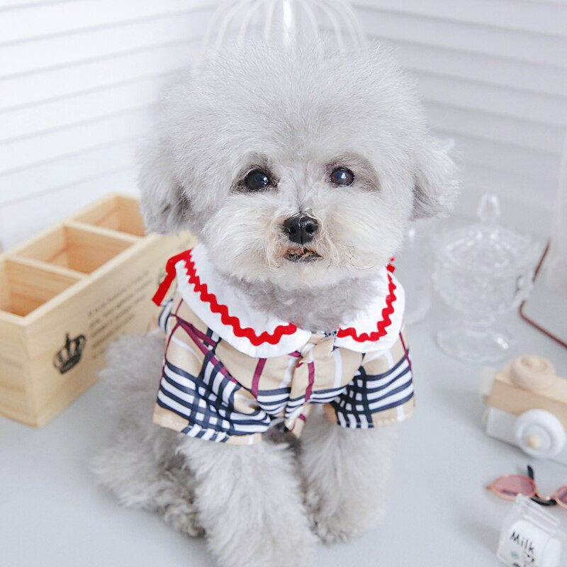 Coffee Bowknot Suvised kutsikarõivad Väikestele Koertele Kassi Kahe jalaga Lemmikloomarõivad Kleidid Kassipojad Mood Rõivad Chihuahua Yorkshire