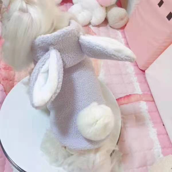 [2021] [Vânzare fierbinte] Noua îmbrăcăminte groasă de iepuraș Haine pentru câini de toamnă și iarnă pentru câini de pluș englezesc haine scurte pentru câini de talie mică