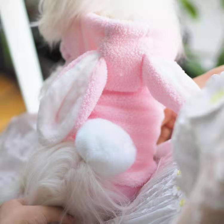 [2021] [Vânzare fierbinte] Noua îmbrăcăminte groasă de iepuraș Haine pentru câini de toamnă și iarnă pentru câini de pluș englezesc haine scurte pentru câini de talie mică