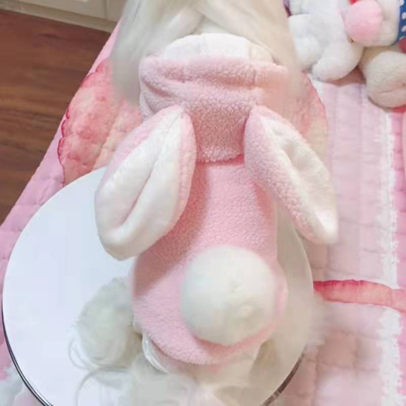 [2021] [Vânzare fierbinte] Noua îmbrăcăminte groasă de iepuraș Haine pentru câini de toamnă și iarnă pentru câini de pluș englezesc haine scurte pentru câini de talie mică