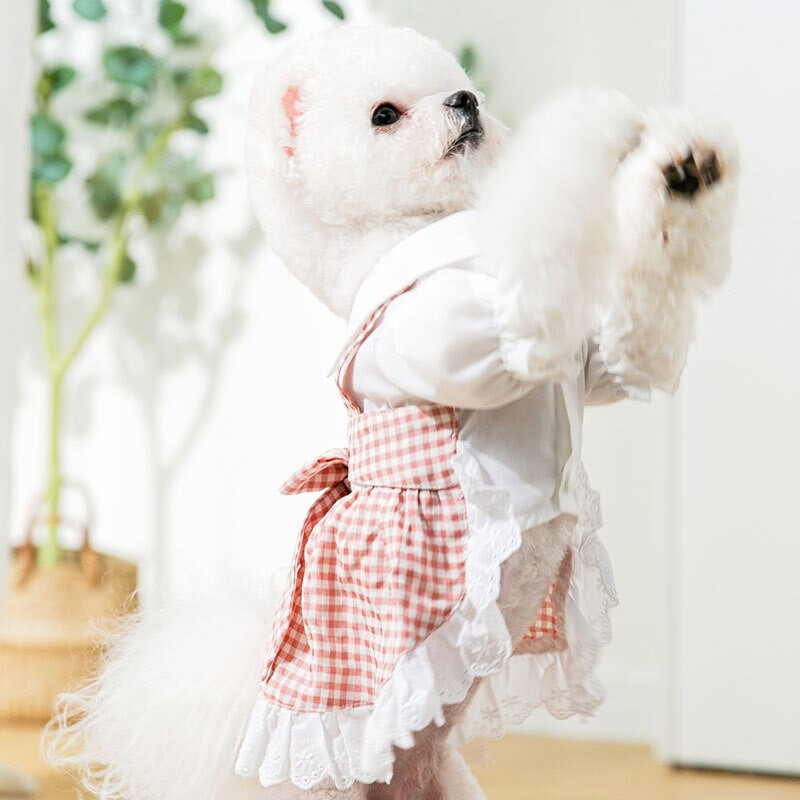 Lemmiklooma vibu koera seelik suvine bichon ruuduline seelik Pommeri kleit Ilus kutsikate riided õhukesed koerariided lemmikloomatarbed