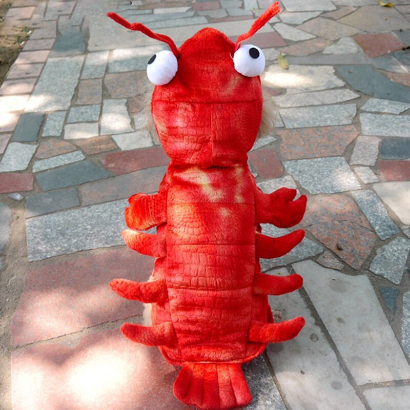 Ρούχα για κατοικίδια Αποκριάτικες στολές αστακού για σκύλους Φανταχτά ρούχα για μικρές γάτες σκύλους Κοστούμια για κουτάβια Teddy Corgi χειμερινές στολές σκυλιών