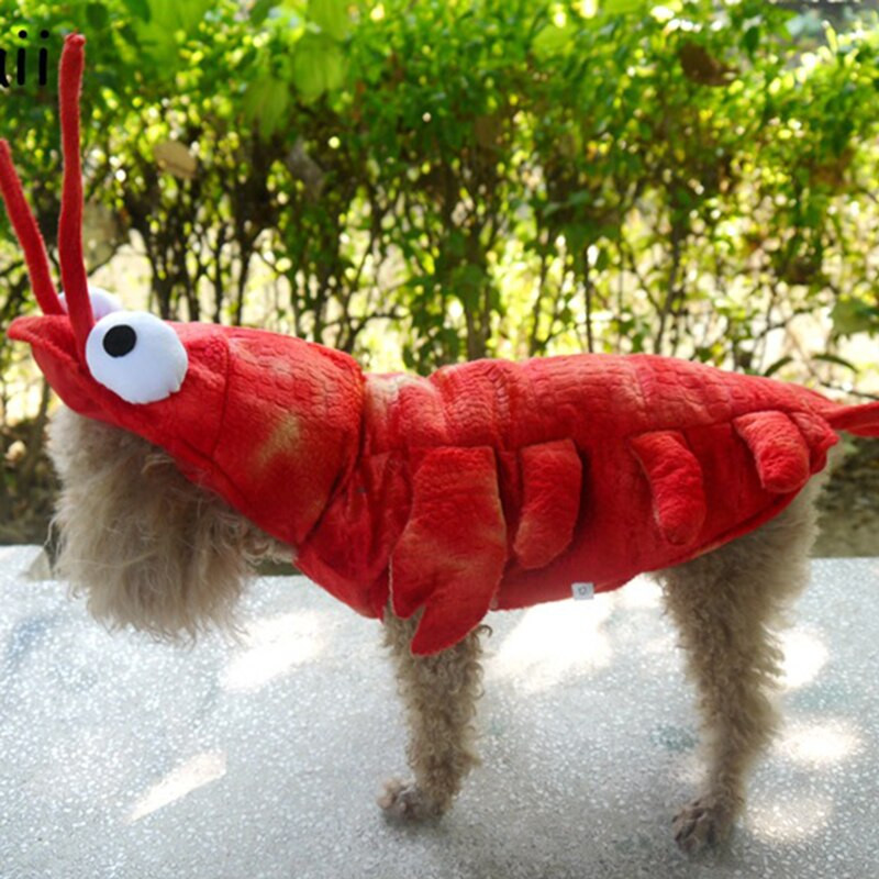Ρούχα για κατοικίδια Αποκριάτικες στολές αστακού για σκύλους Φανταχτά ρούχα για μικρές γάτες σκύλους Κοστούμια για κουτάβια Teddy Corgi χειμερινές στολές σκυλιών