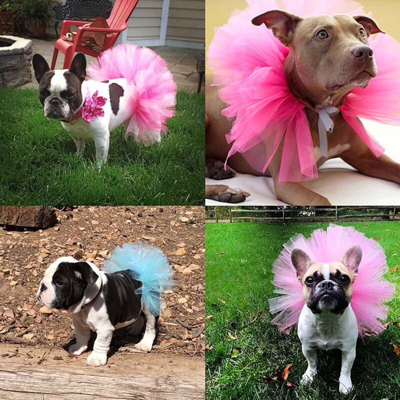 5 színű új kutya tutu szoknya Princess Cat's Pet ruha Puha tüll Cosplay Bulldog ruha Nyári kiskutya ruha Kisállatnak