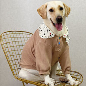 Zimska majica s kapuljačom za pse Yorkie Bichon Pudl Šnaucer Corgi Shiba Inu Samojed Haski Zlatni retriver Odjeća za velike pse Kaput