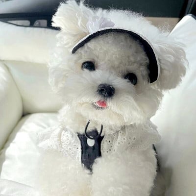 Noble Black Dog Drēbes Mājdzīvnieku ķirbju svārki Vasaras kucēniem Princeses Dzijas svārki Teddy Bichon Pulovers Pūdeļu kleita Mājdzīvnieku izstrādājumi