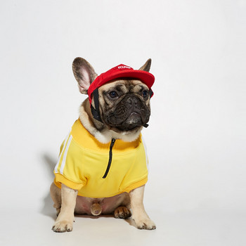 Качулки Кучешки дрехи за малки кучета Дрехи за йорки Суичър Дрехи за куче костюм Яке мопс Облекло за куче пуловер Кученце