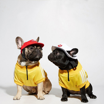 Качулки Кучешки дрехи за малки кучета Дрехи за йорки Суичър Дрехи за куче костюм Яке мопс Облекло за куче пуловер Кученце