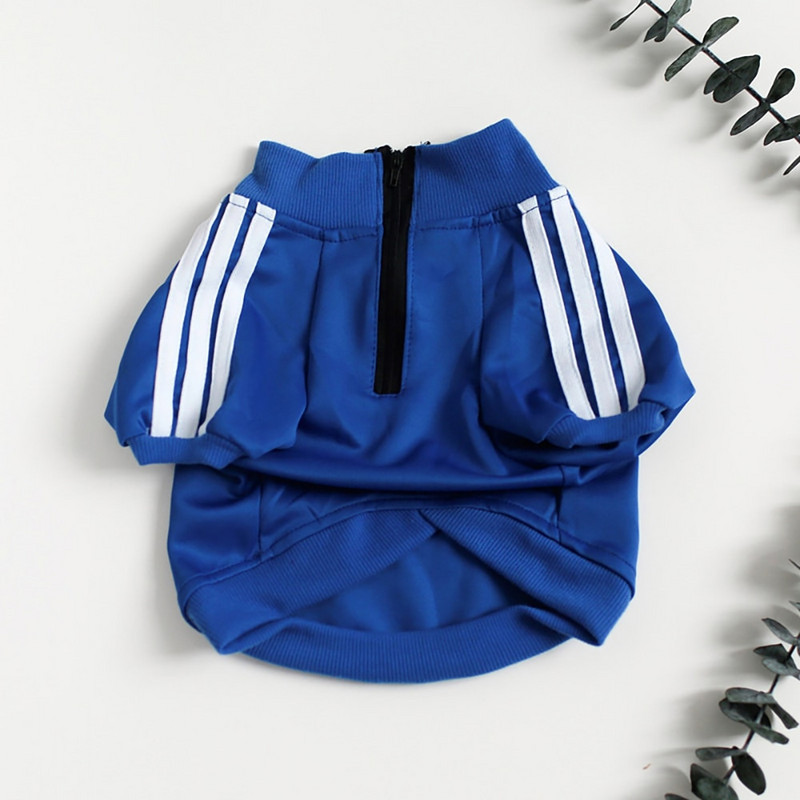 Pulóverek Kutyaruhák kistestű kutyáknak ruhák yorkiáknak Pulóverek Ruhák kutyajelmezekhez Kabát mopsz Kutyaruha pulóver Kölyökkutya