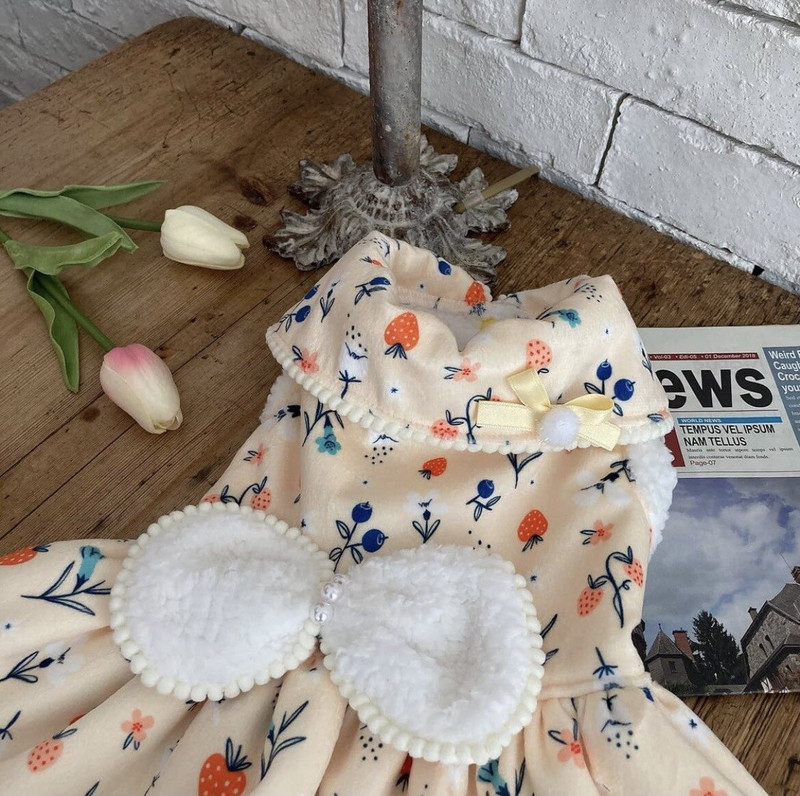 Moodne lemmiklooma printsessi seelik sügistalvine soe mantel armas keskmine väike koer kass armas vibu kassipoeg kutsikas seelik Chihuahua Yorkshire