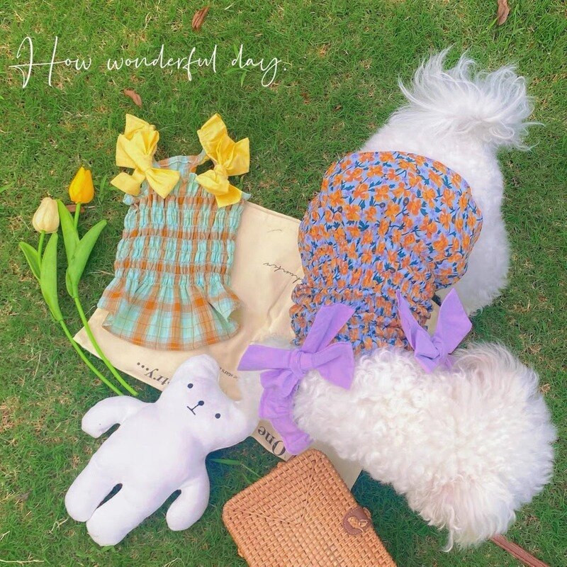 Kikilips kleit Lemmiklooma Koera Riided Kass Õhuke ruuduline seelik Riietus Koerad armsad Väike Chihuahua Suvelilla Hingav Tüdruk Chihuahua