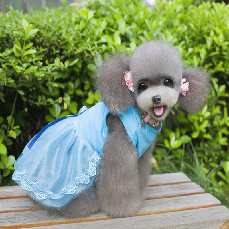 Αξεσουάρ για κατοικίδια Ρούχα για σκύλους γάτας Φόρεμα Sweety Princess Teddy Puppy Νυφικά Ανοιξιάτικα Μόδα Σκύλος Μικρά Μεσαία Σκυλιά