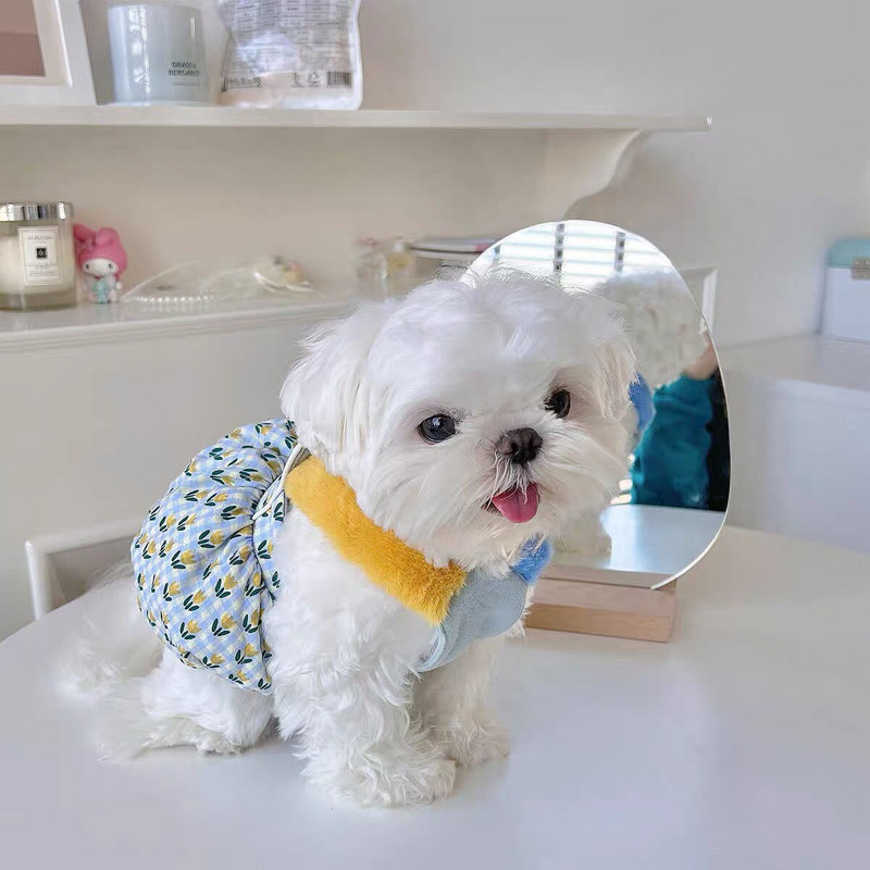 INS meleg sütőtök szoknya aranyos kockás kabát kisállat tulipán szoknya kis kölyök macska macska maci pomerániai medvék őszi téli ruha