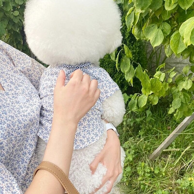 Japán ruha Kutyaruhák Bowknot Kisállatruházat Kutyák Nyomtatás Virágos jelmez Pamut aranyos tavaszi nyár kék maci Ropa Perro