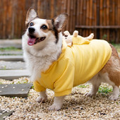 2022, haine pentru câini Welsh Corgi, haine de iarnă pentru animale de companie, Teckel Shiba Inu, hanorace pentru câini, ținută, îmbrăcăminte, costum pentru animale de companie, dropshipping