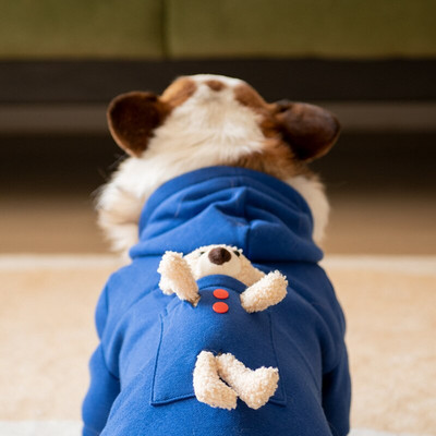 2022, haine pentru câini Welsh Corgi, haine de iarnă pentru animale de companie, Teckel Shiba Inu, hanorace pentru câini, ținută, îmbrăcăminte, costum pentru animale de companie, dropshipping