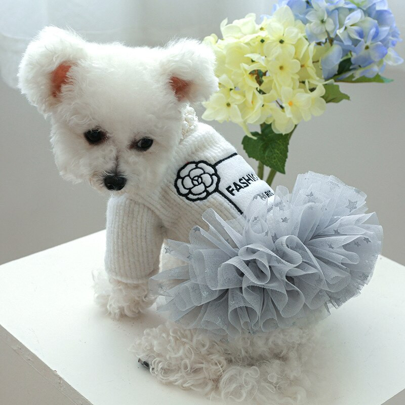 Prabangūs šunų drabužiai Rudens žiemos šuniuko katės striukė Perlų dekoro suknelė mažiems vidutiniams šunims York Pups Tutu Sijonas Apranga Šuo Striukė