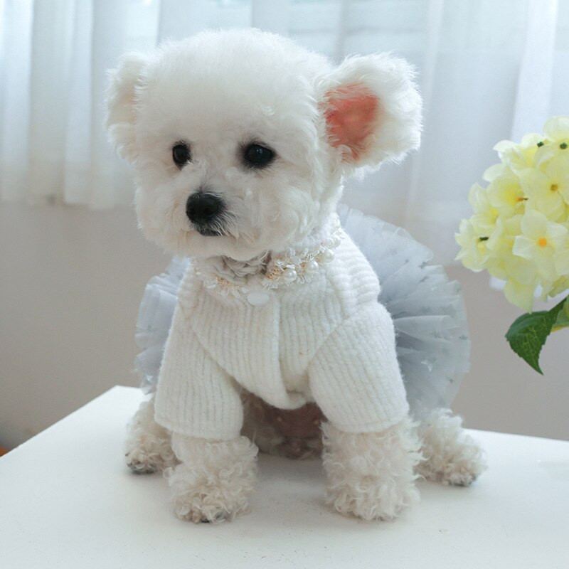 Prabangūs šunų drabužiai Rudens žiemos šuniuko katės striukė Perlų dekoro suknelė mažiems vidutiniams šunims York Pups Tutu Sijonas Apranga Šuo Striukė