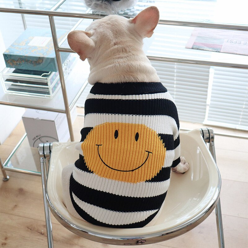 Ruhák kutyáknak ősszel és télen, meleg kisállat pulóver, francia harc, Kirby Schnauzer, medve, kis és közepes méretű háziállatok