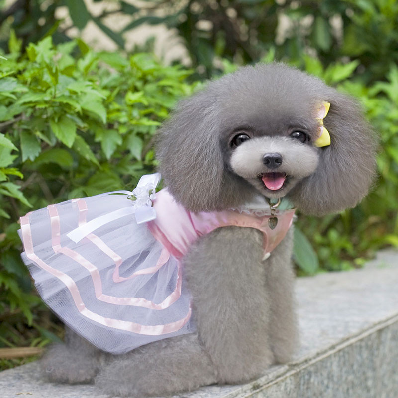 Rochie din tul din dantelă pentru câini de vară Haine pentru câini de talie mică pentru petrecere pentru câini de talie mică, aniversare, nuntă, rochie cu arc, costum de cățeluș, haine de primăvară pentru animale de companie