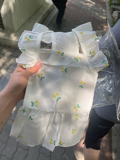 Rochie cireșe Îmbrăcăminte pentru animale de companie câini fustă prințesă dantelă pentru haine pentru câini costum buldog francez moale vară guler alb pentru fată Perro