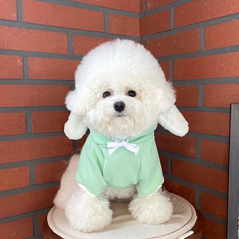 Hanorace drăguțe pentru urechi de iepure, fleece de iarnă, haine pentru câini, cu șnur ajustabil, hanorac cu glugă, haină pentru cățeluș, jachetă pentru pisici, haine pentru animale de companie