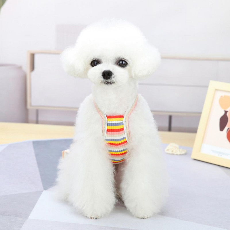 Lemmikloomade riided Koerte kleidid Vikerkaaretriibuline printsesskleit väikestele koertele Kass Kevadsuvi Kutsikas Kirsiga seelik Vest Ropa Perro