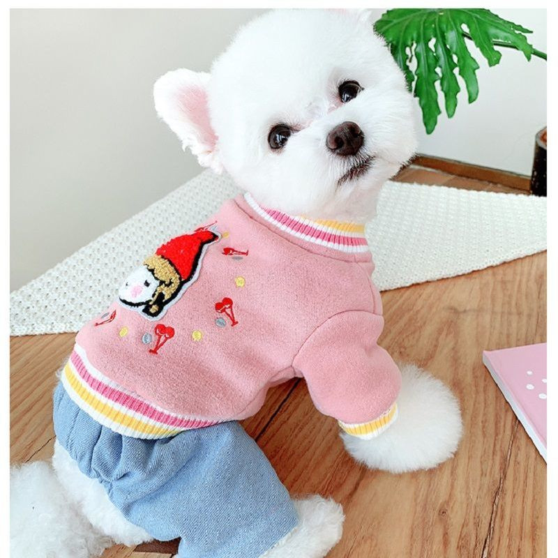 [2021. aasta kuum müük] Koera sügis/talvine kampsun Lemmiklooma koera kutsikas kaisupommeri šnautser bichon väike koer riided lemmiklooma riided