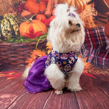 Halloween Pet Dog Φούστα Σκύλος Puppy Cosplay Στολή κολοκύθας Skull Print Στολή κατοικίδιων Αποκριάτικων πάρτι Ρούχα Φανταχτερό φόρεμα
