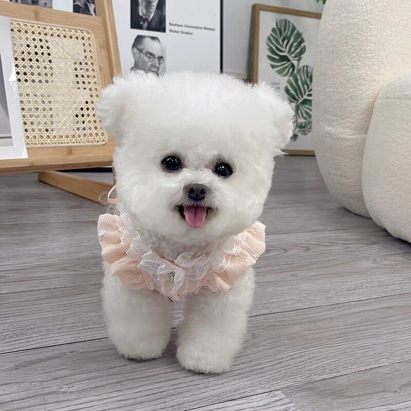 Pitskleit Lemmiklooma Koera Riided Kass Õhukesed Magusad Riided Koerad Printsess Seelik Väike Chihuahua Suvine Roosa Hingav Tüdruk Poiss Chihuahua