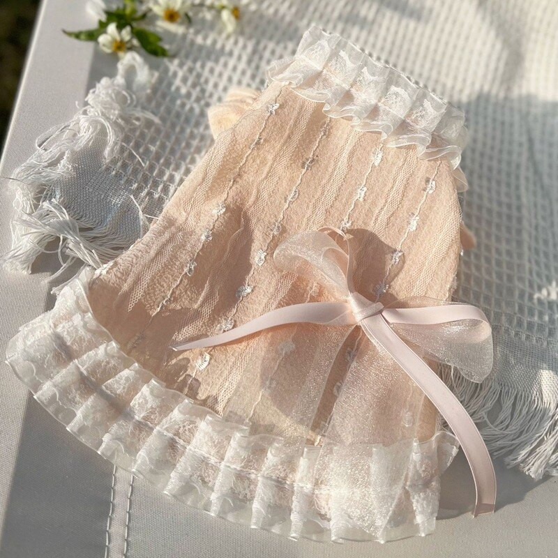 Pitskleit Lemmiklooma Koera Riided Kass Õhukesed Magusad Riided Koerad Printsess Seelik Väike Chihuahua Suvine Roosa Hingav Tüdruk Poiss Chihuahua