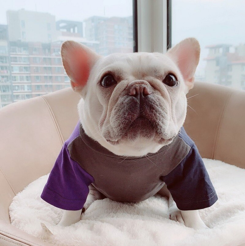 Noile haine pentru câini Îmbrăcăminte pentru animale de companie de primăvară și vară Îmbrăcăminte părinți-copii care se potrivesc cu culorile bumbac pur șase mărimi