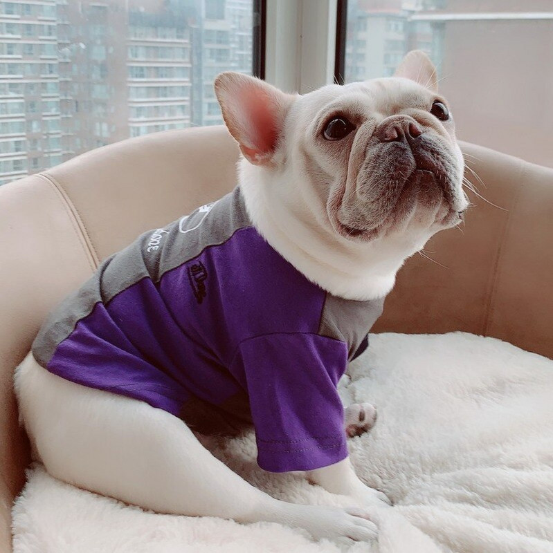 Noile haine pentru câini Îmbrăcăminte pentru animale de companie de primăvară și vară Îmbrăcăminte părinți-copii care se potrivesc cu culorile bumbac pur șase mărimi