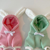 XS Pet Bunny muutus sügiseks ja talveks Uued koerariided Teddy soe kampsun Yorkshire Than Bear Multifilmi hüppaja kutsika kingitus