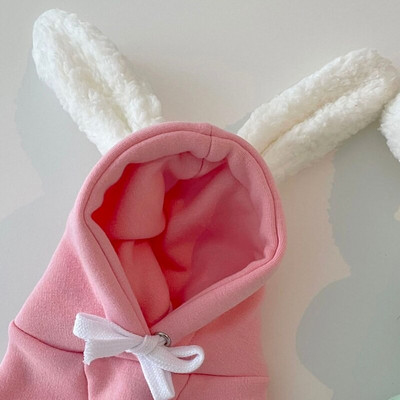 XS Pet Bunny muutus sügiseks ja talveks Uued koerariided Teddy soe kampsun Yorkshire Than Bear Multifilmi hüppaja kutsika kingitus