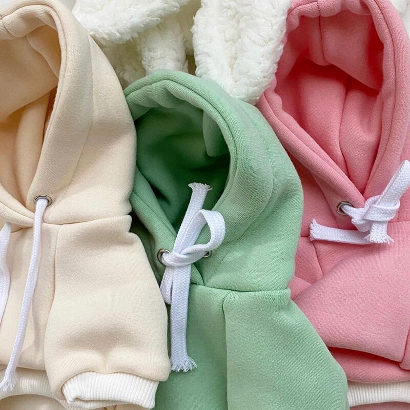 XS Pet Bunny muutus sügiseks ja talveks Uued koerariided Teddy soe kampsun Yorkshire Than Bear Multifilmi hüppaja kutsika kingitus