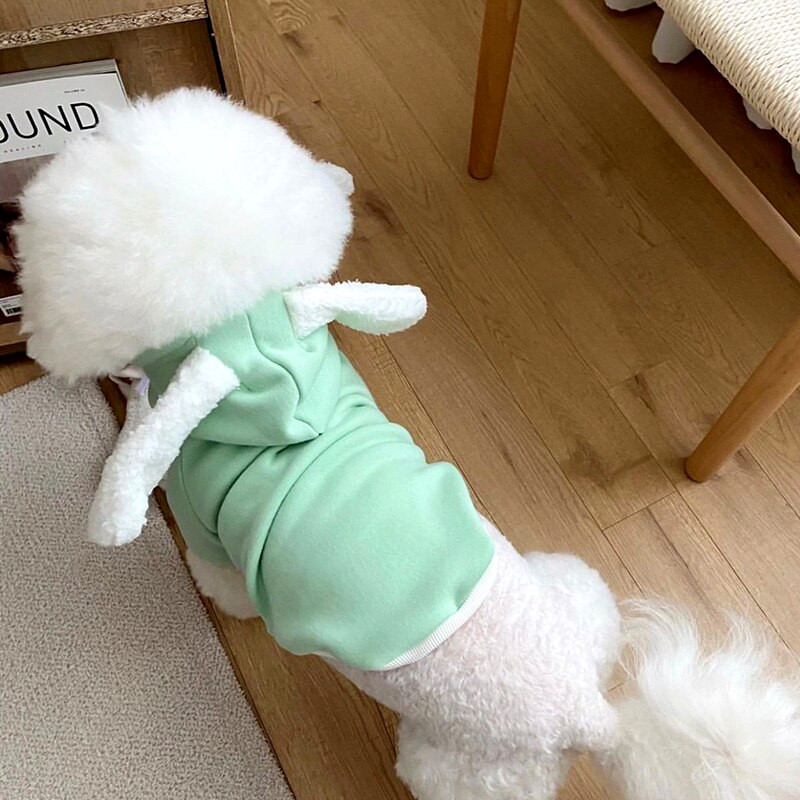 XS Pet Bunny muutus sügiseks ja talveks Uued koerariided Teddy soe kampsun Yorkshire Than Bear Multifilmi hüppaja kutsika kingitus