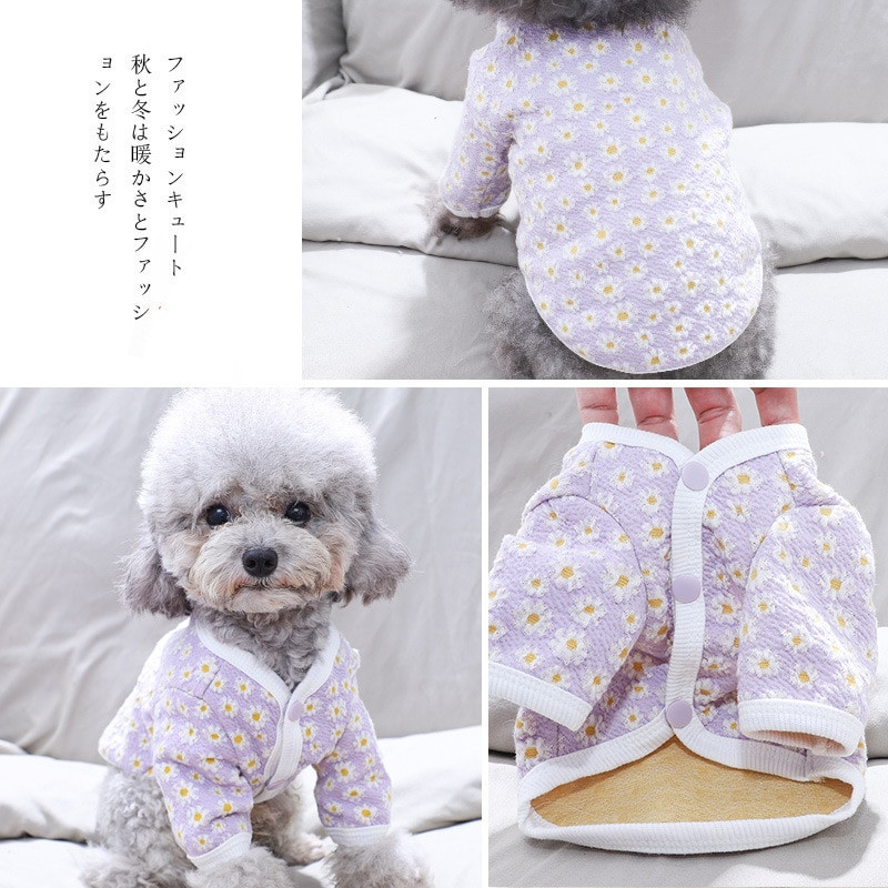 Daisy Cardigan Haine pentru câini Hanoră pentru câini de talie mică Îmbrăcăminte pentru animale de companie Drăguț Toamnă Iarnă Yorkies Print Blue Boy Ropa Para Perro