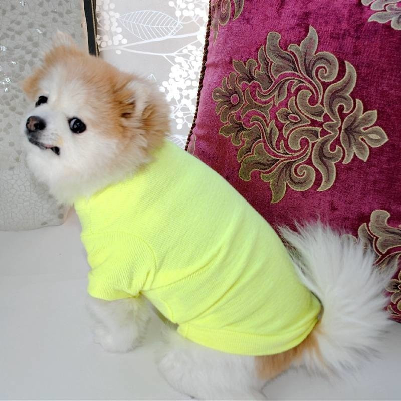 Hanorac cald Haine pentru câini Ubranka Dla Psa Pulovere pentru câini Sudadera Perro Sphinx Cat Honden Kleding drăguț moale fleece
