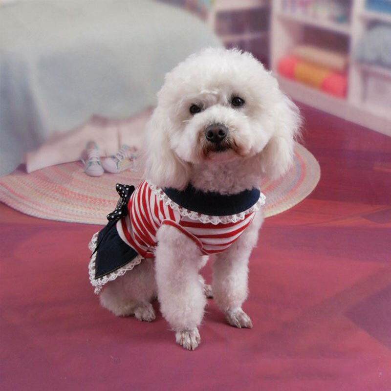 Suvine triibuline pitskleit Lemmikloomakoerte riided väikestele koertele Riided Kutsikate teksakleidid Chihuahua Yorkshire`i puudli seelik