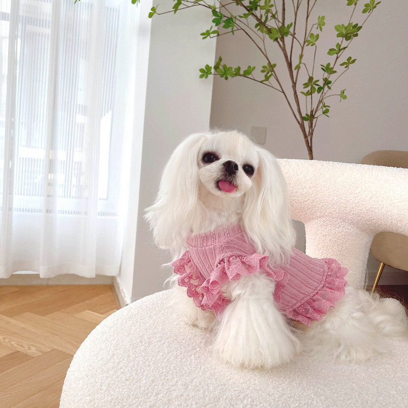 Vasarinis šuns sijonas trumpas naminių gyvūnėlių tipo suknelė Jorkšyro čihuahua katė Drabužiai šuniuko kostiumas Drabužiai Maži šunų drabužiai Tutu Dropshipping