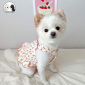 Rochie căpșuni Rochii respirabile de vară Haine pentru câini pentru câini de talie mică Fată Cățeluș Pisicuță Fusta plisată Îmbrăcăminte pentru pisici Articole pentru animale de companie