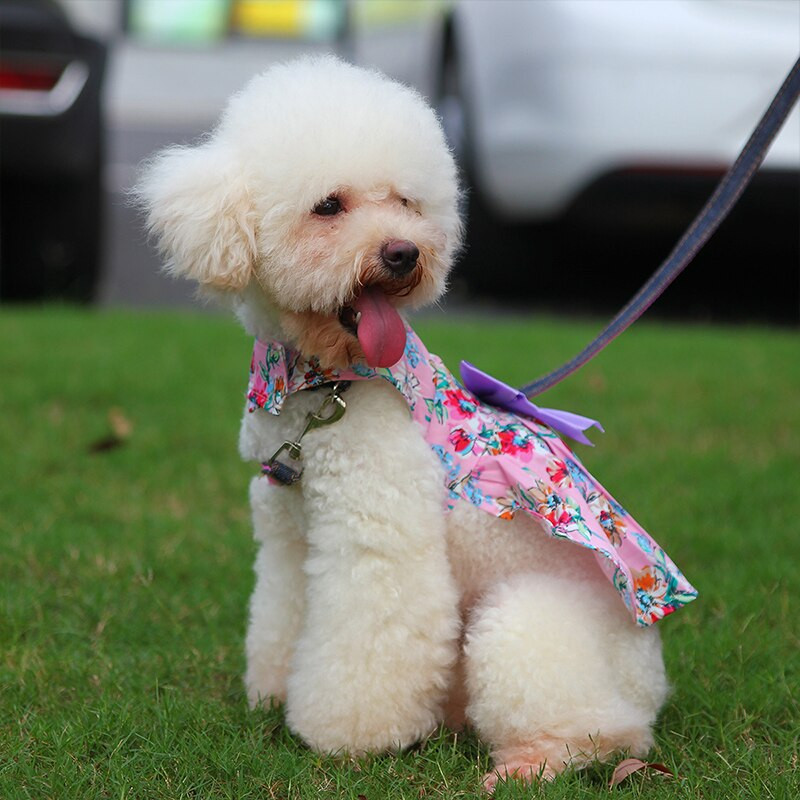 Rochie fără mâneci pentru câine Dulce drăguță Fusta câine prințesă Îmbrăcăminte pentru animale de companie Design cu fundă Fusta cățelușă Floral Multicolor Îmbrăcăminte pentru câini de vară