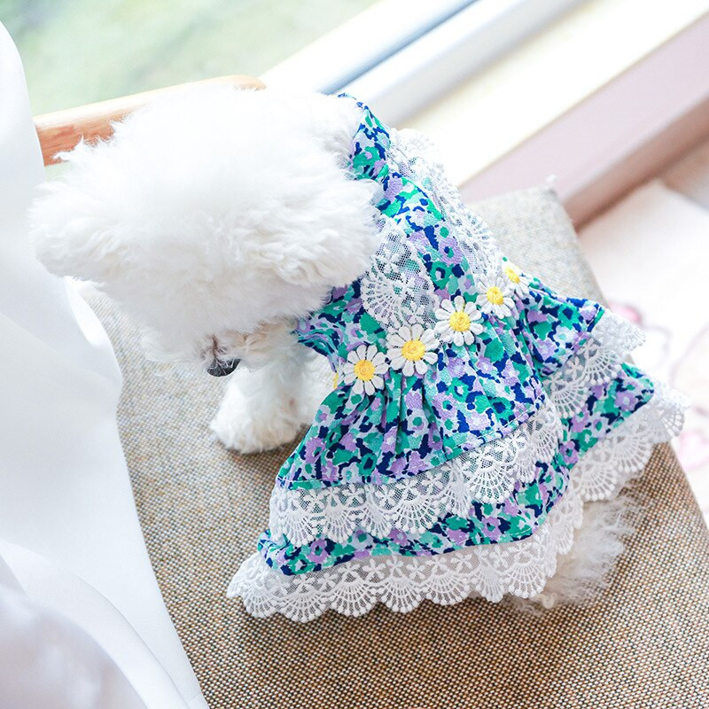 Daisy Designer Haine pentru câini Fată Rochii pentru câini Marginea din dantelă Fusta tutu de primăvară pentru pisoi Dulce Roz Prințesă Pisică Îmbrăcăminte pentru animale de companie