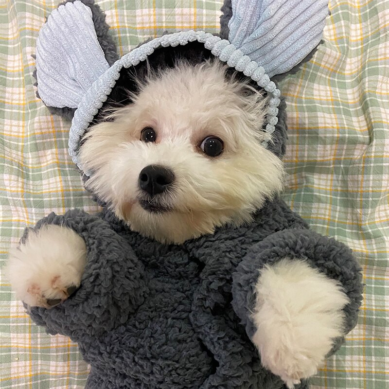 Talvised soojad lemmikloomariided koera kassi kapuuts Nahasõbralik kampsun Pehme armas kutsika kassipoegade riided Chihuahua Bichon Ropa Perro jaoks